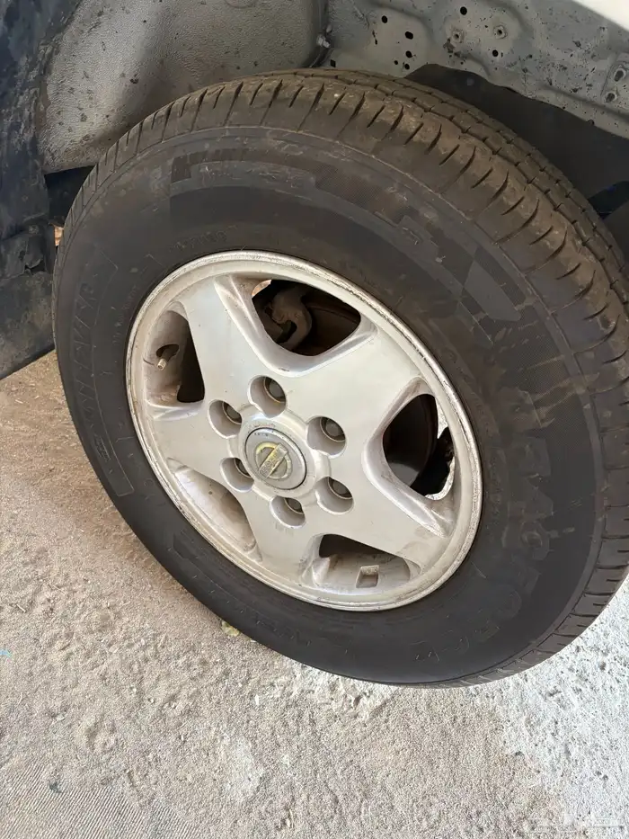 جنوط نجمه ددسن 1