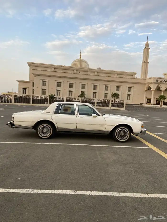 كابرس برقهام 1989 2