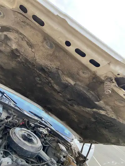 كابرس برقهام 1989 19