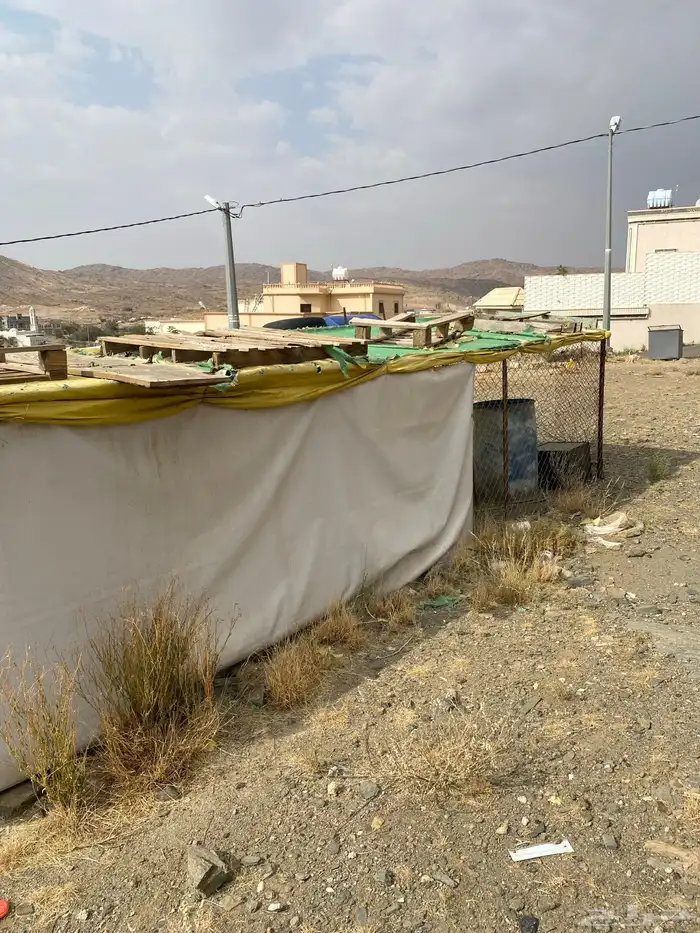 شبك 1