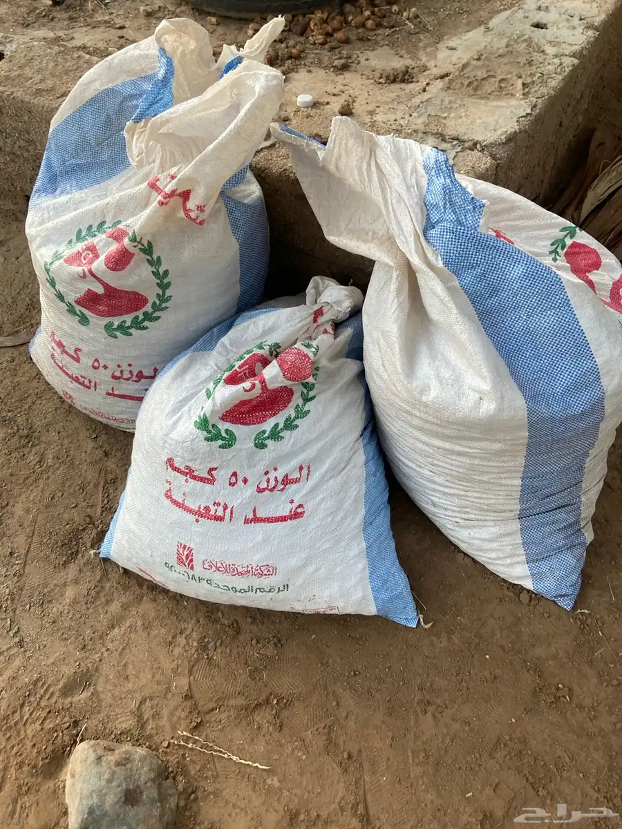 تمر غنم وابل البيع index