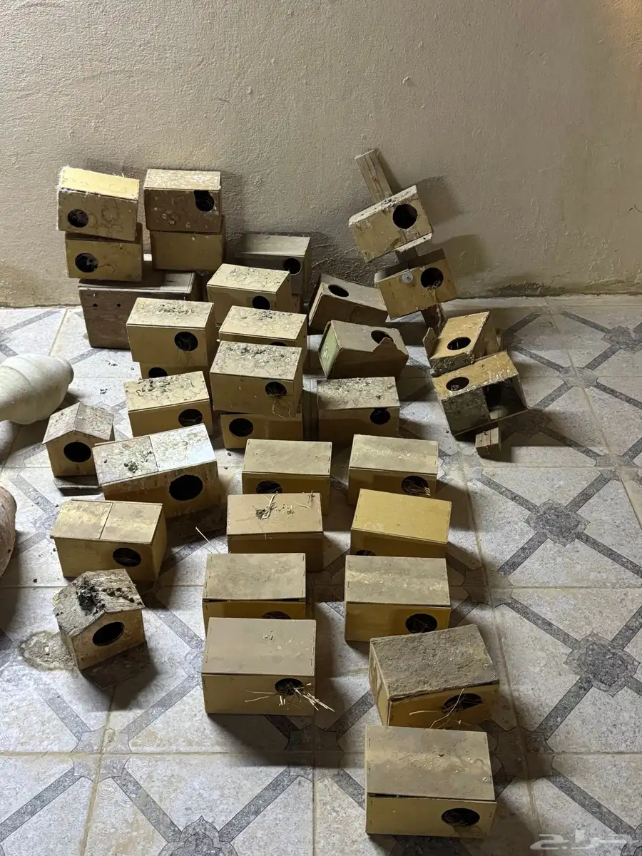بياضات طيور عصافير وجرار 2