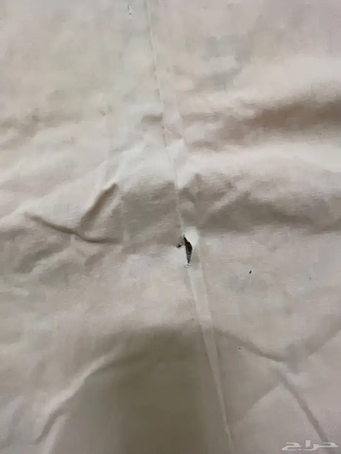 لأهل المتاحف مقتنيات من الماضي مناسبة للعرض في المتاحف 0