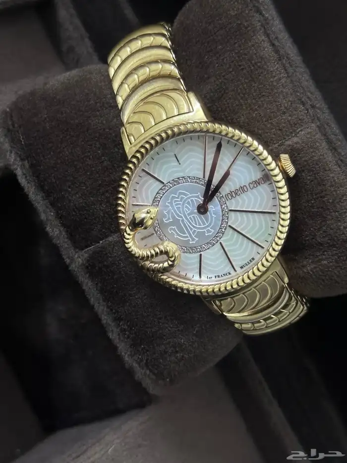 ساعات روبورتو كافلي 0