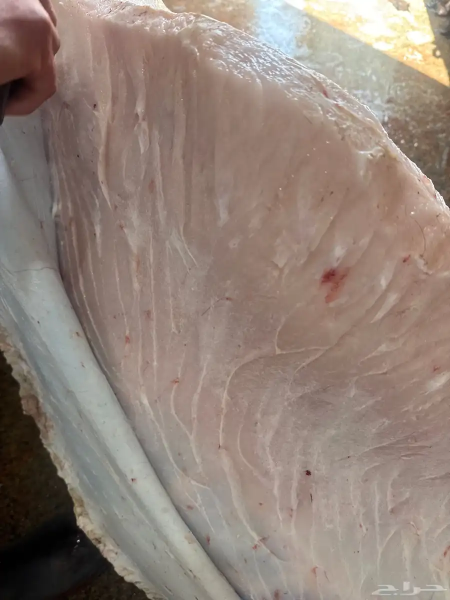 لباني طازج والطعم تحدي طريق الرياض مجعل عروض لا تنتهي 1