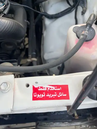 جيب ربع 2004 8