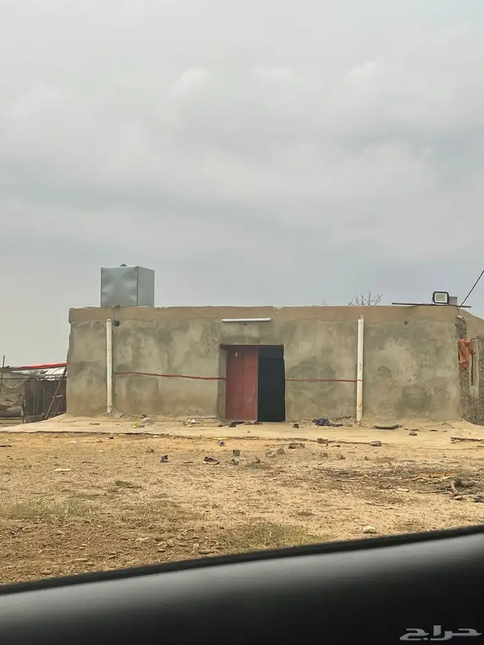 ارض كبيره مع بيت للبيع مع حضائر مغطاه 11