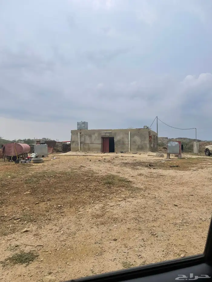 ارض كبيره مع بيت للبيع مع حضائر مغطاه 13