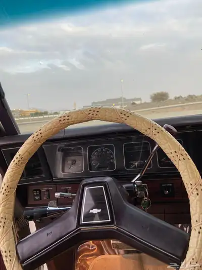 كابرس برقهام 1989 15