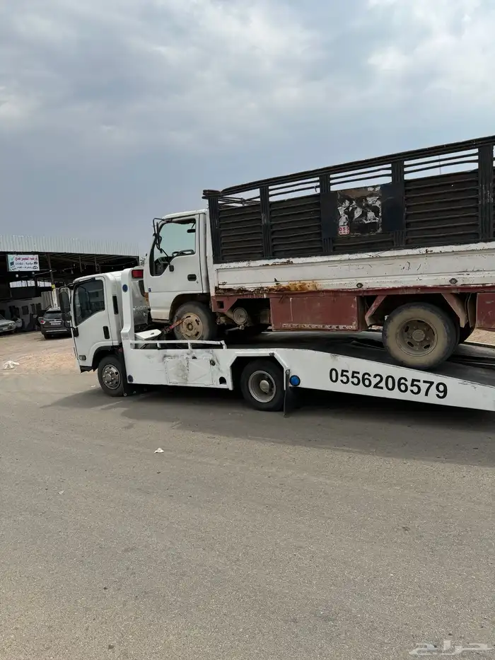 سطحه خيبر الشمالية واللحن و الصلصلة والعشاش 0