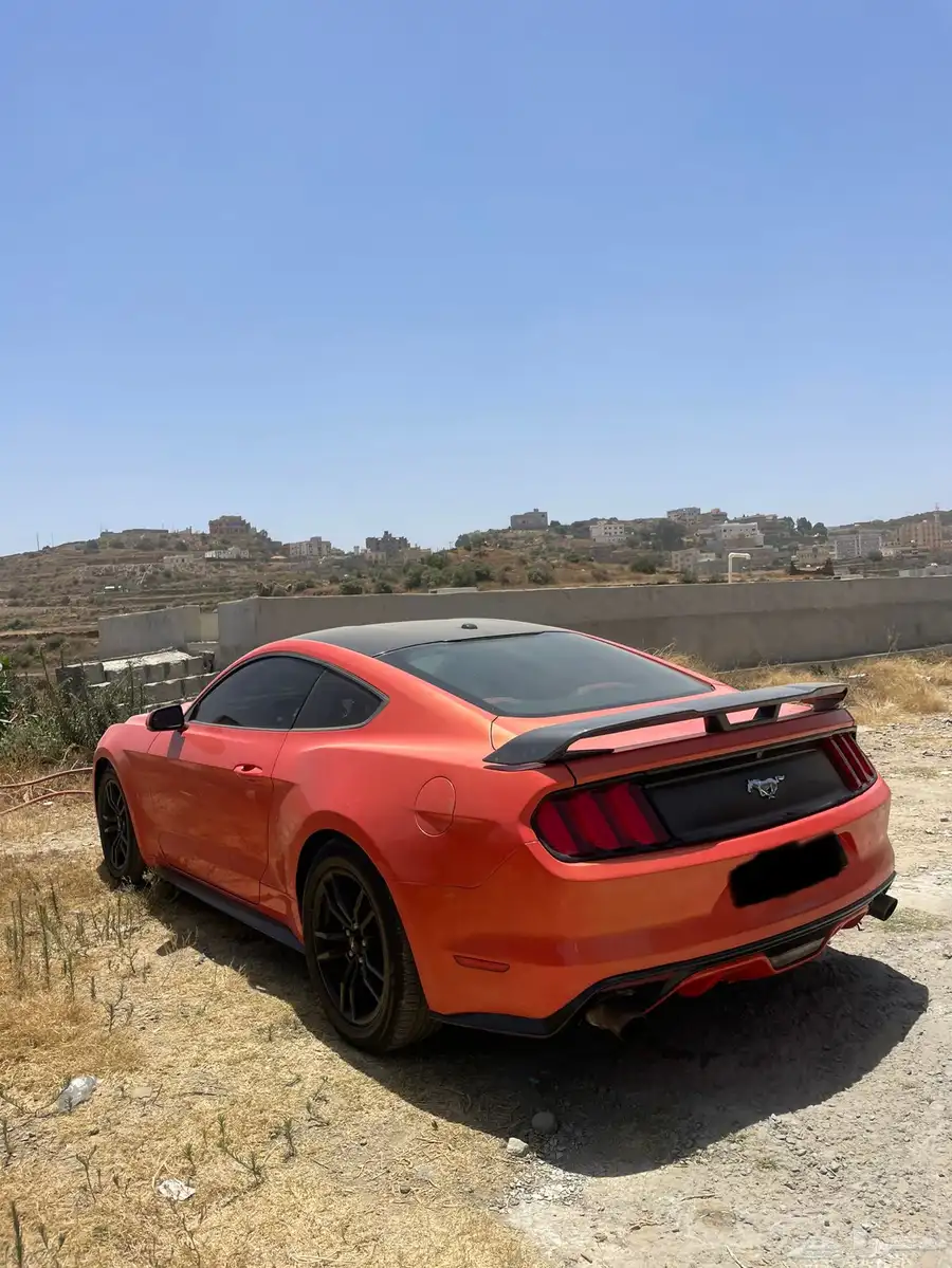 موستنق للبدل برانجلر 0