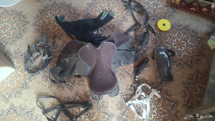 سرج خيل كامل شبه جديد 0