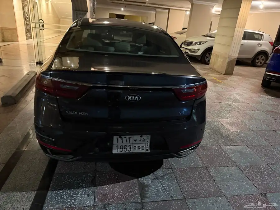 كادينزا 2018 خليجي 11