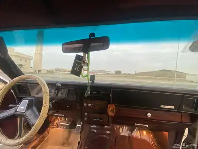 كابرس برقهام 1989 14