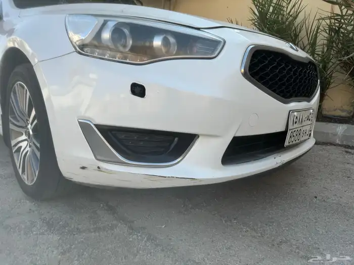 كادينزا 2016 10
