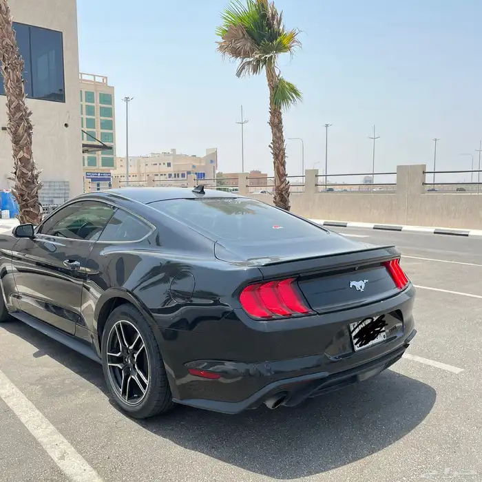 موستنق 2020 ايكو بوست 6