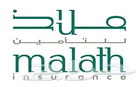 تامين سيارات شاحنات دبابات دينات راس تريلا نقل ملكية 0
