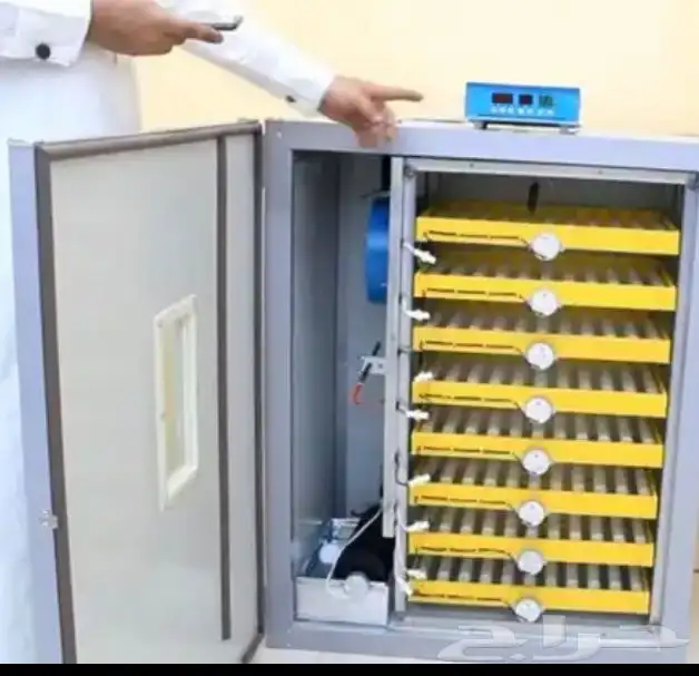 فقاسة عون المربي شرط الشرط تشيل 600علافات سقايات محاكر اصلي 2