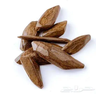 عرض من تشكيلة العود ليوم الجمعة 8