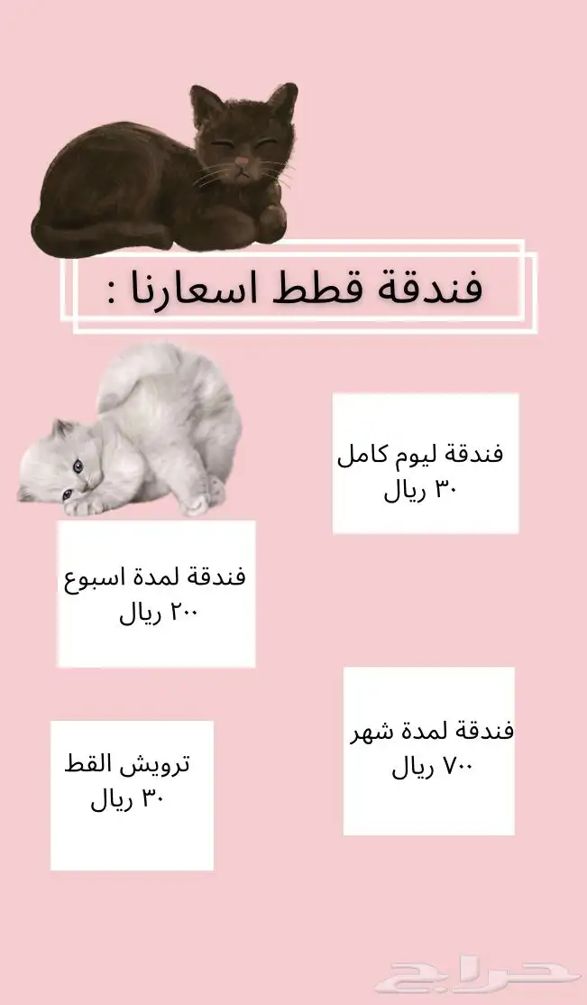 فندقة قطط جدة حي الصفا 0