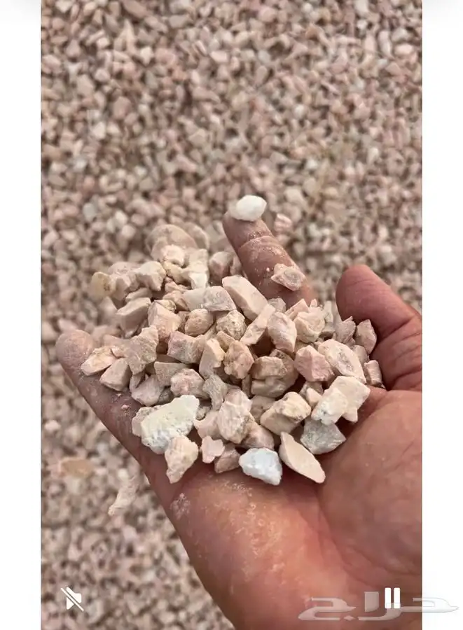 خرسان للبيع جميع المقاسات 1