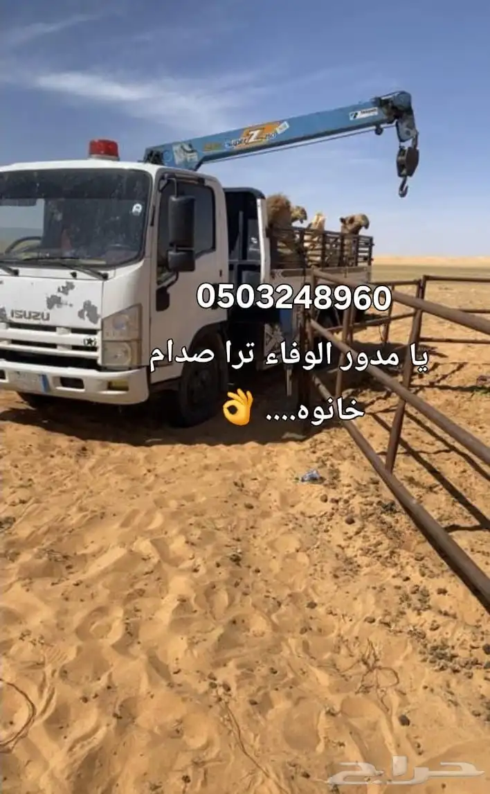 ابل نقل دنا كرين ونش لنقل الابل جميع المشاوير داخل وخارج index