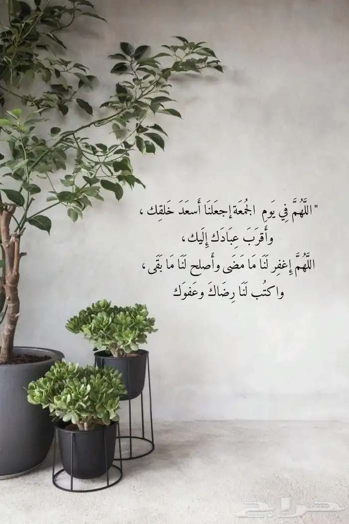 جده - الاجاويد 5