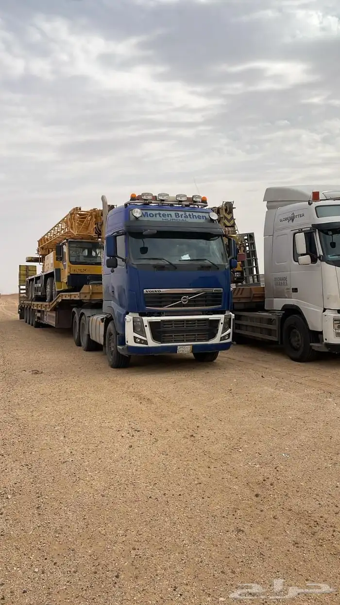 لوبد موجود في الرياض 0