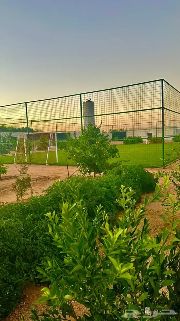 بستان للإيجار اليومي في حائل (القاعد) 10 آلاف متر 9