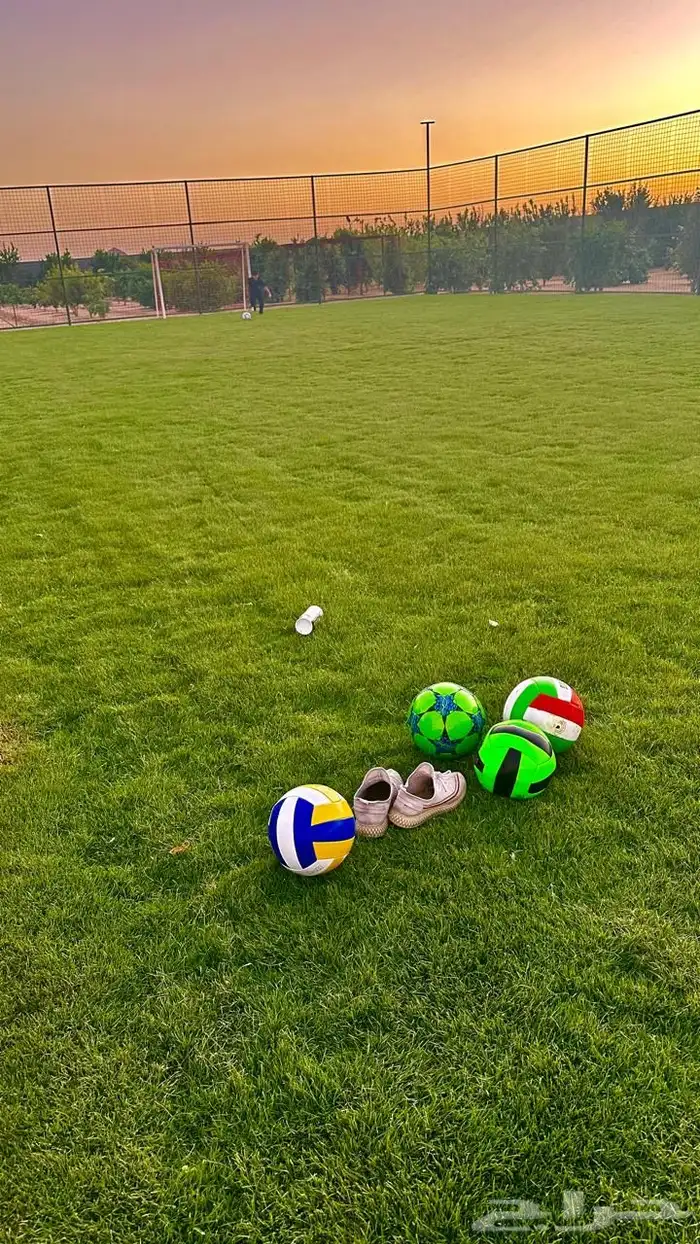 بستان للإيجار اليومي في حائل (القاعد) 10 آلاف متر 3