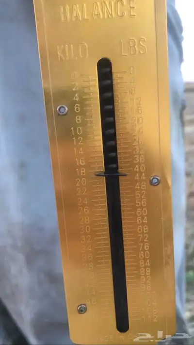 للبيع علف بلوبنك معه خلط مليسا 2