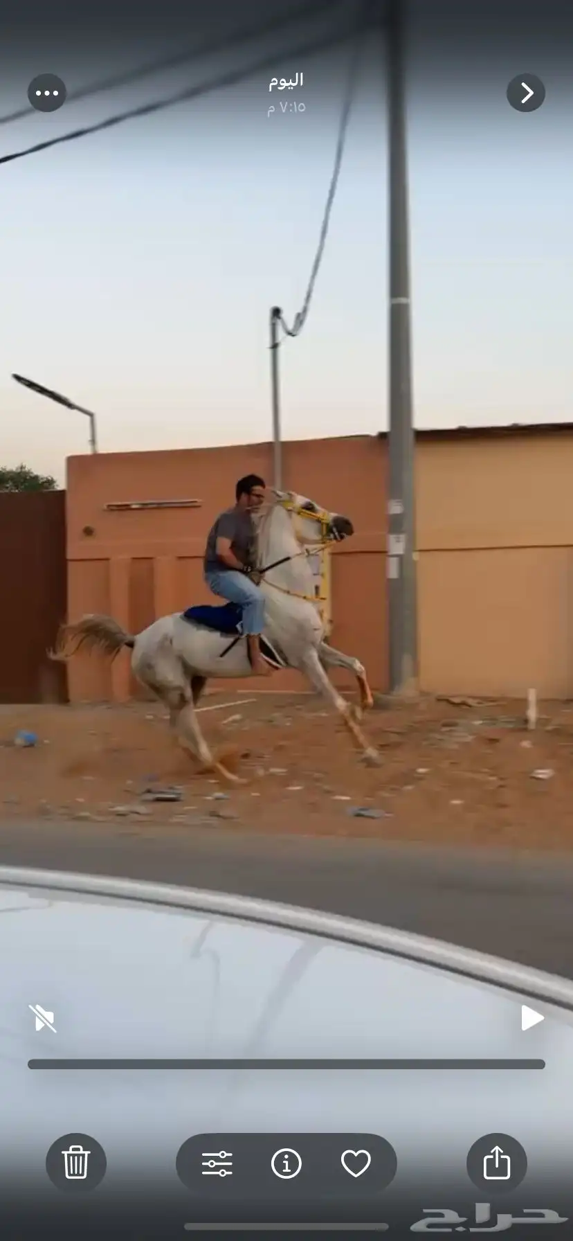 حصان واهو فاخر index