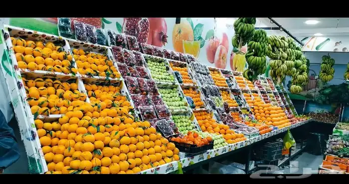 احتاج شريك في مشروع مربح وراس مال بصيط 0