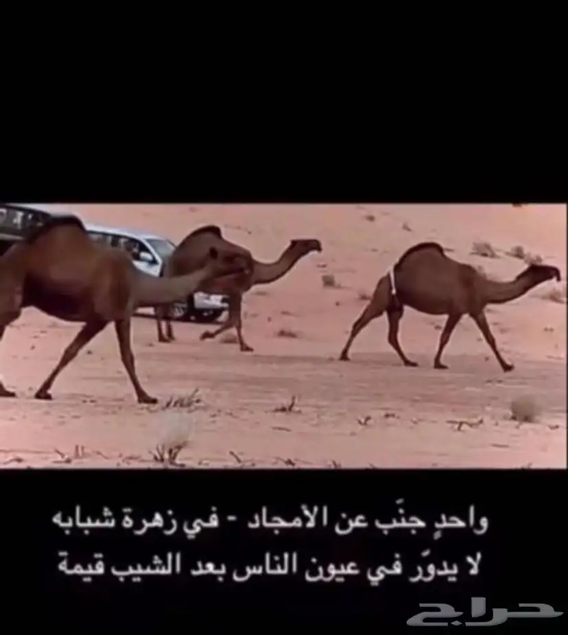 يوجد ذود بداوه عسره 0