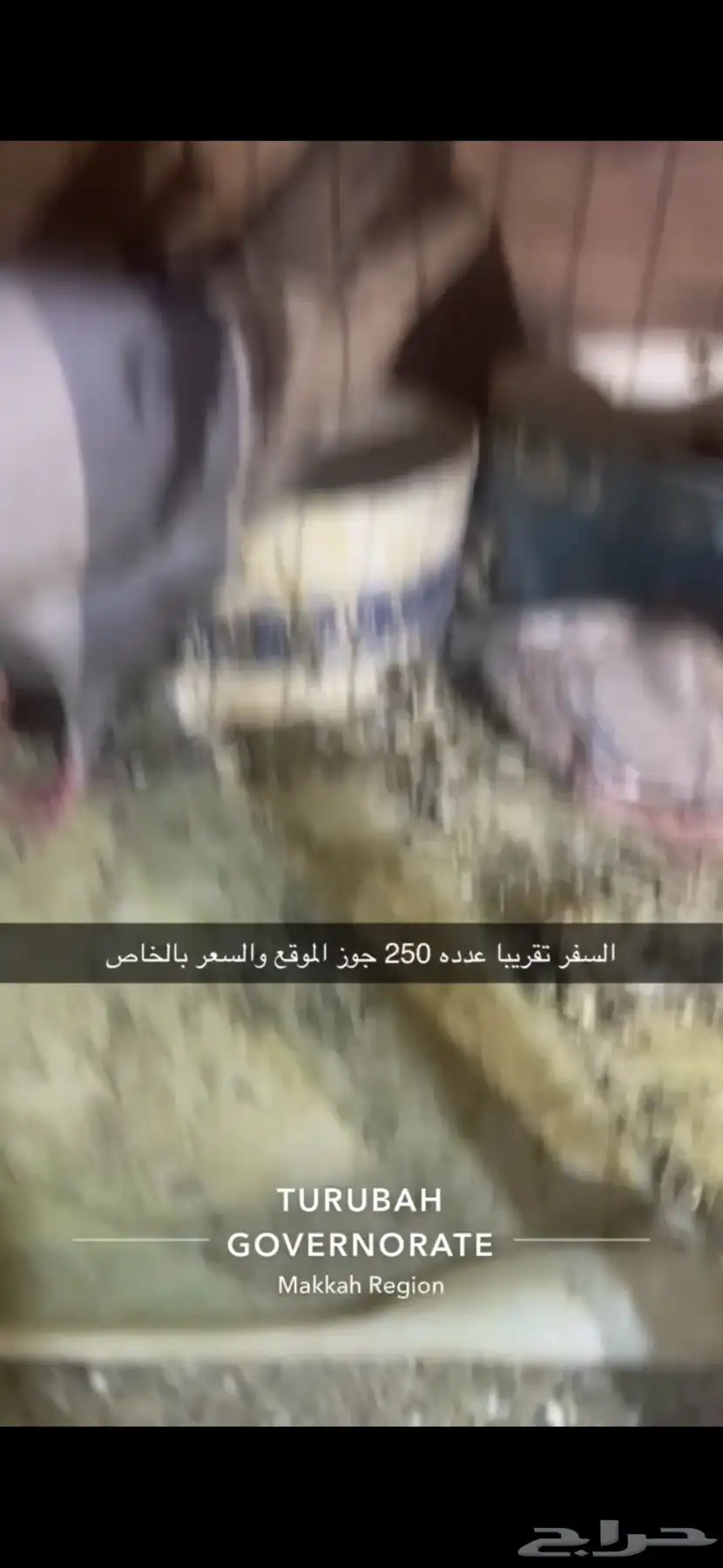 حمام فرنسي لاحم سوبر جامبو سلفر 18