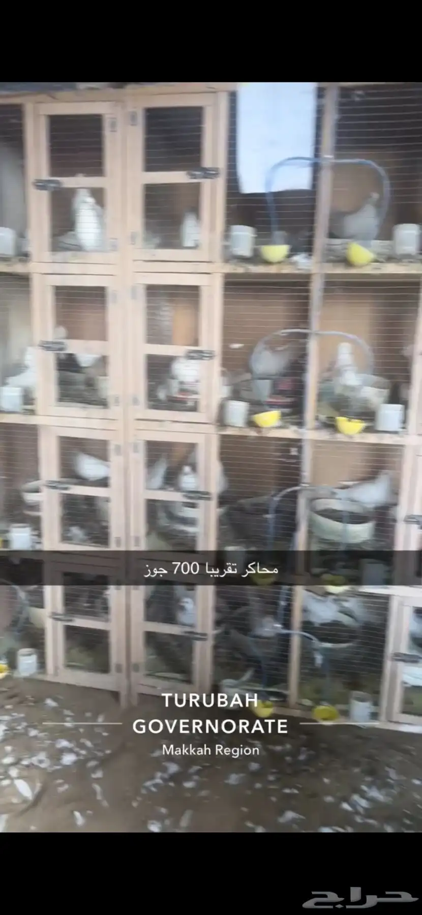 حمام فرنسي لاحم سوبر جامبو سلفر 15