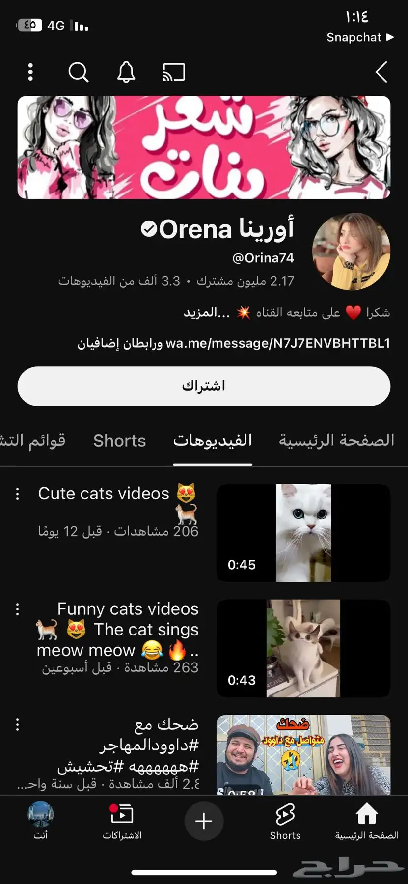 قناة مليونية موثقة ومفعلة الارباح 0