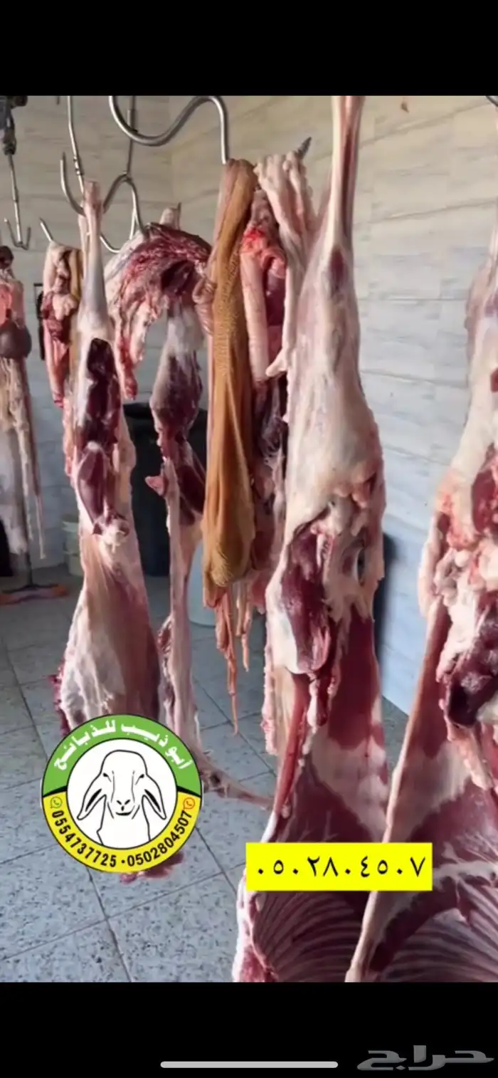ذبائح أبو ذيب ( يتوفر ذبح وتوصيل لباب بيتك ) مجانا 6