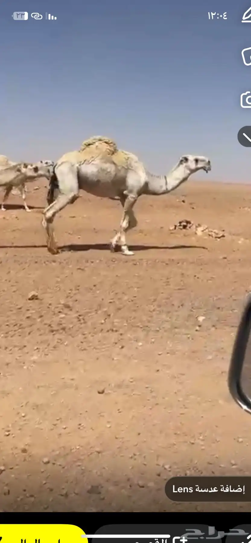 نسنم 0