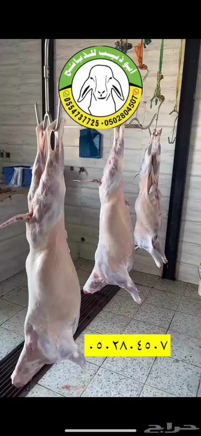 ذبائح أبو ذيب ( يتوفر ذبح وتوصيل لباب بيتك ) مجانا 7