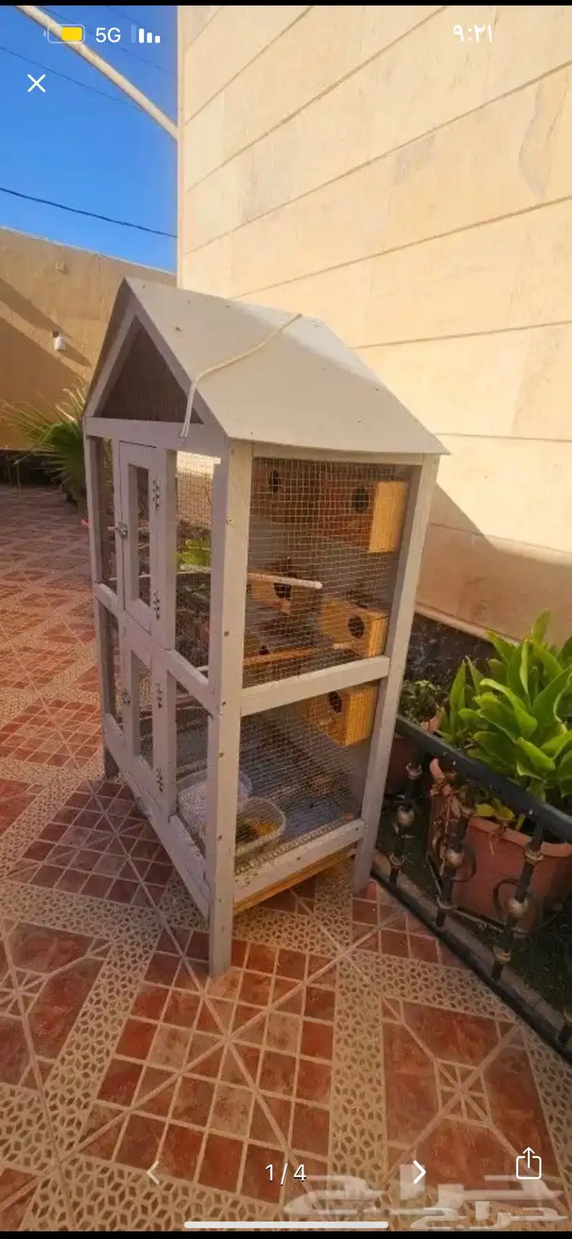 شبك طيور زينه كوخ نظيففف للبيع المستعجل 1