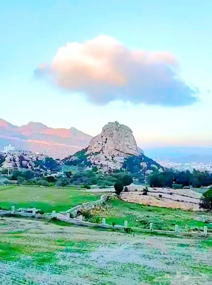 مزرعة الثريا تنومة استراحة ووحدات سكنية للايجارباليوم والشهر 0