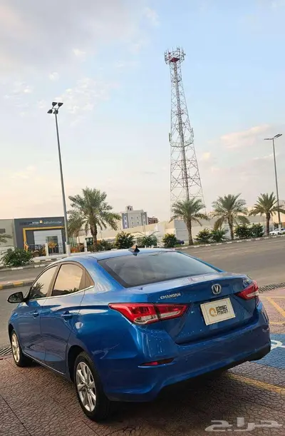شانجان السفن 2024 9