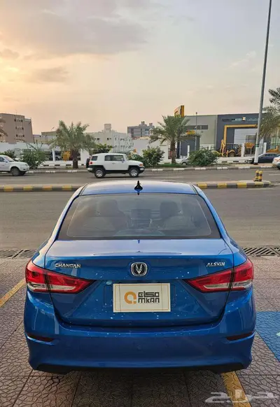 شانجان السفن 2024 8