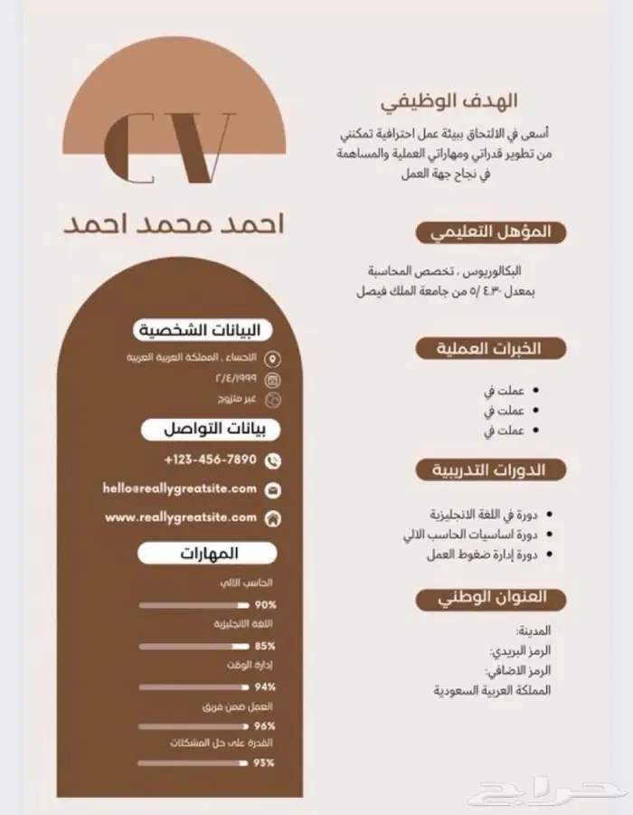 سيرة ذاتية احترافية 2