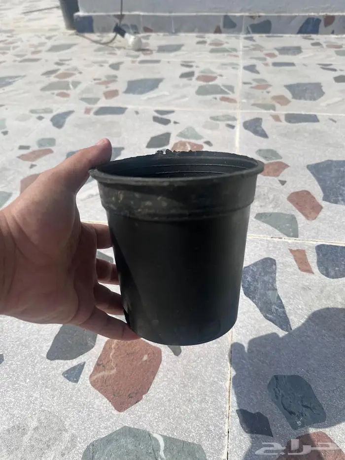 مراكن زراعية 1