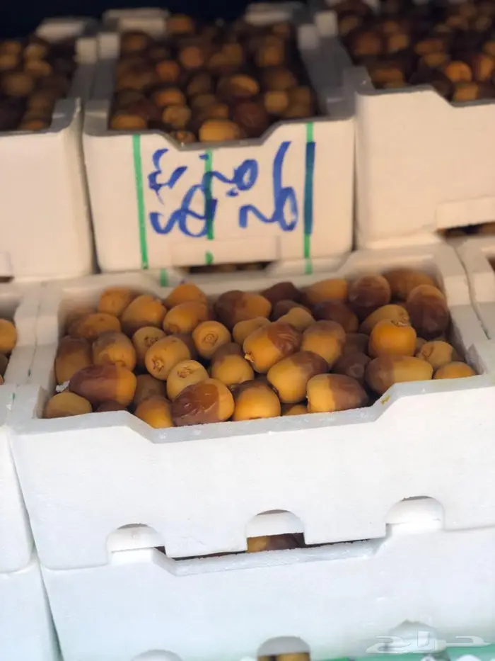 روثانة 0