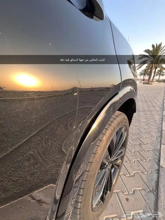 جيلي توجيلا للتقبيل بدون مقابل 7