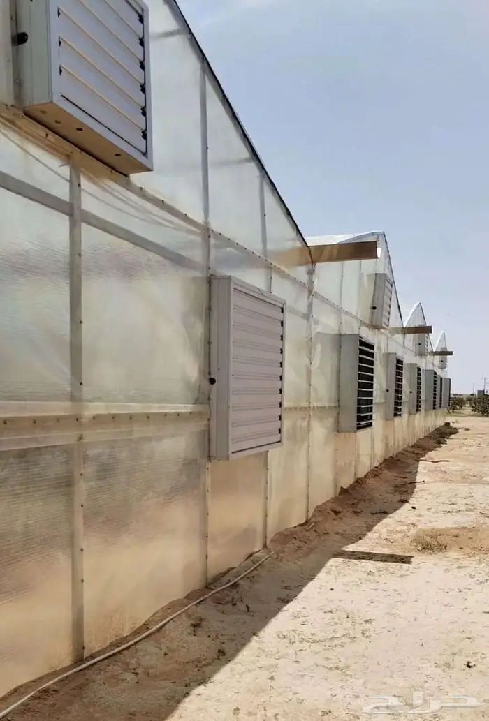 صالات زراعية للبيع مزرعة للبيع 10