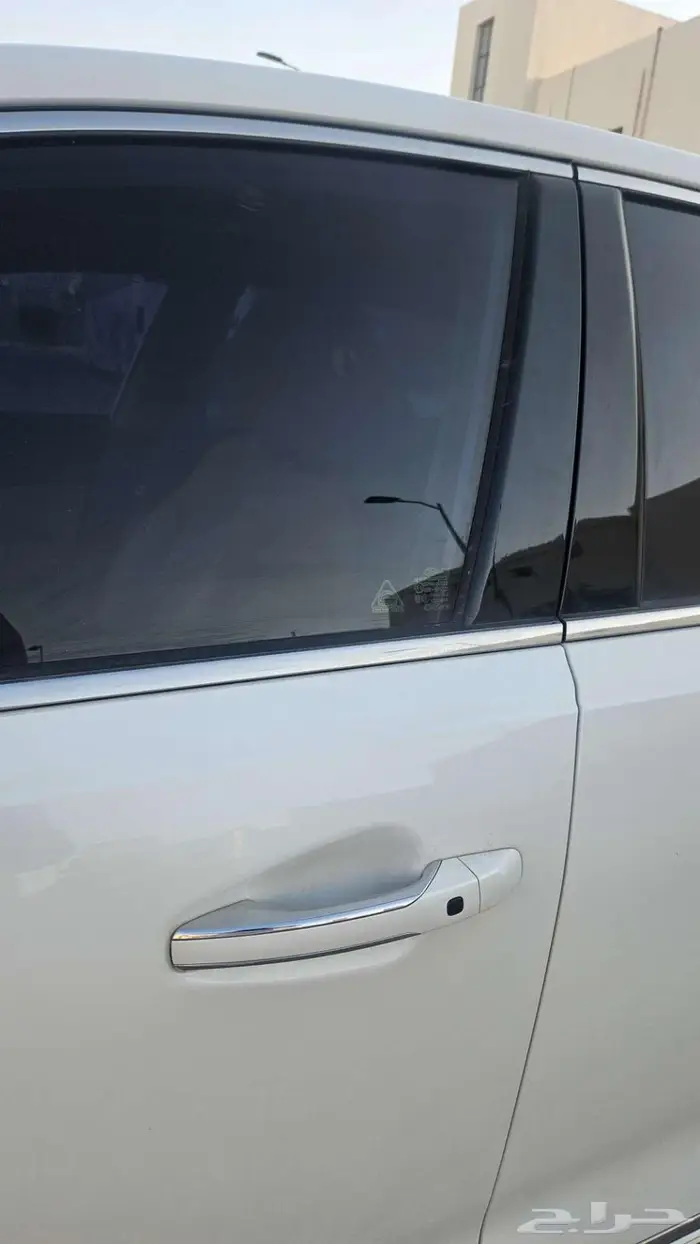 كادينزا k7 2020 5
